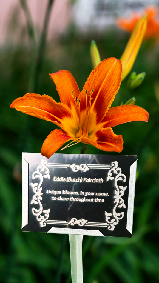 5 Reasons Daylilies Make the Ultimate Housewarming Gift