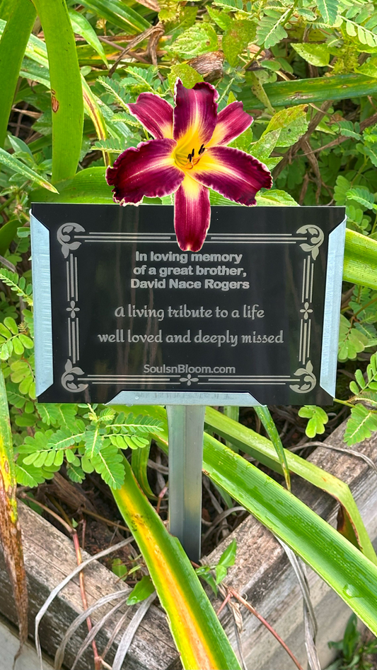 Planting Memories: The Growing Trend of Living Memorials
