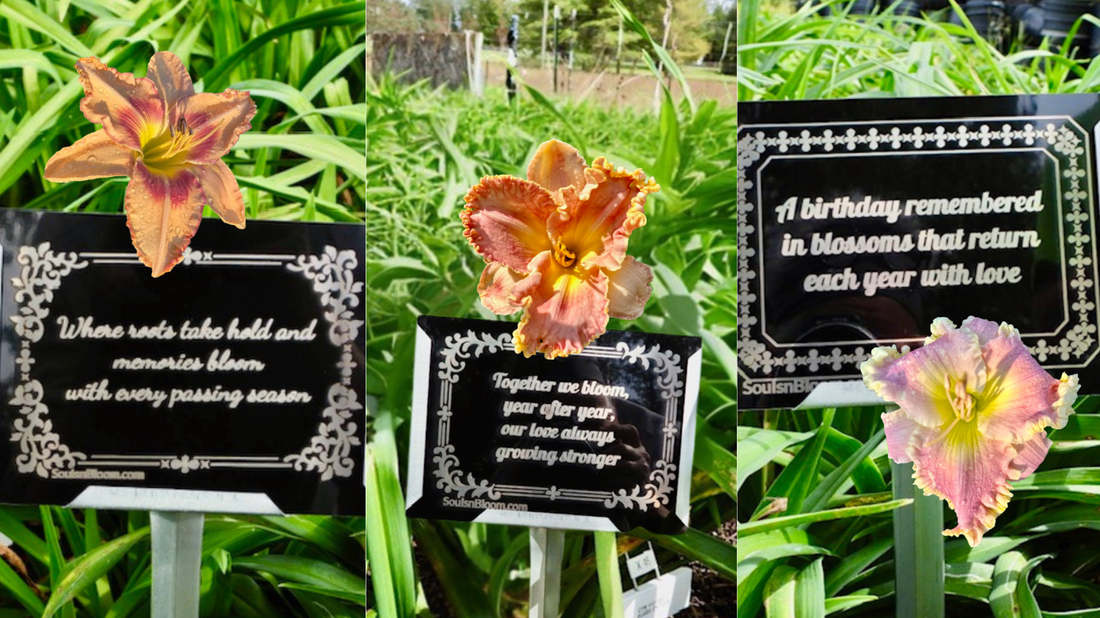 Meaningful Ways to Remember a Pet Through Nature