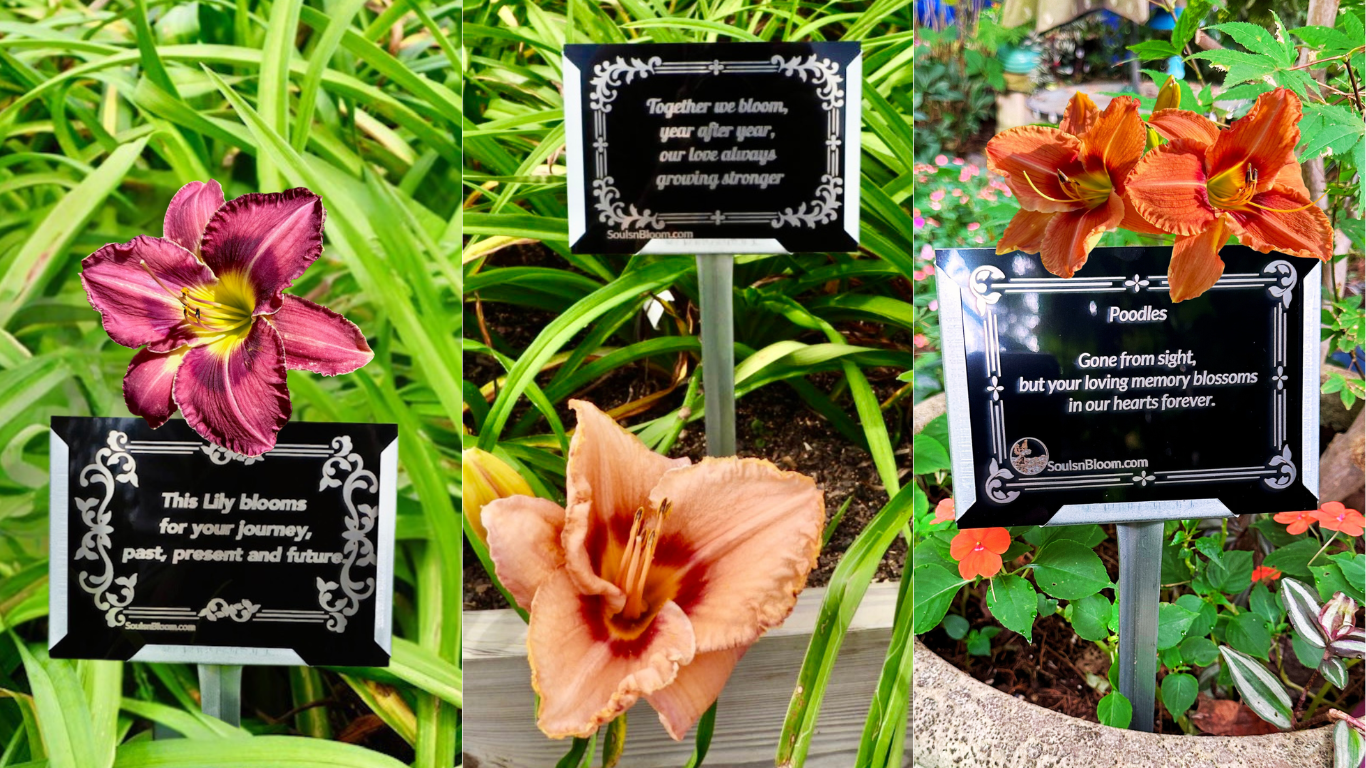 A collection of Souls ’n Bloom  beautiful daylilies and personalized plaques representing life’s most meaningful moments — from memorials and anniversaries to celebrations, milestones, birthdays, and tributes to beloved pets. Each image embodies love, remembrance, and the beauty of honoring life’s journey through nature’s bloom.