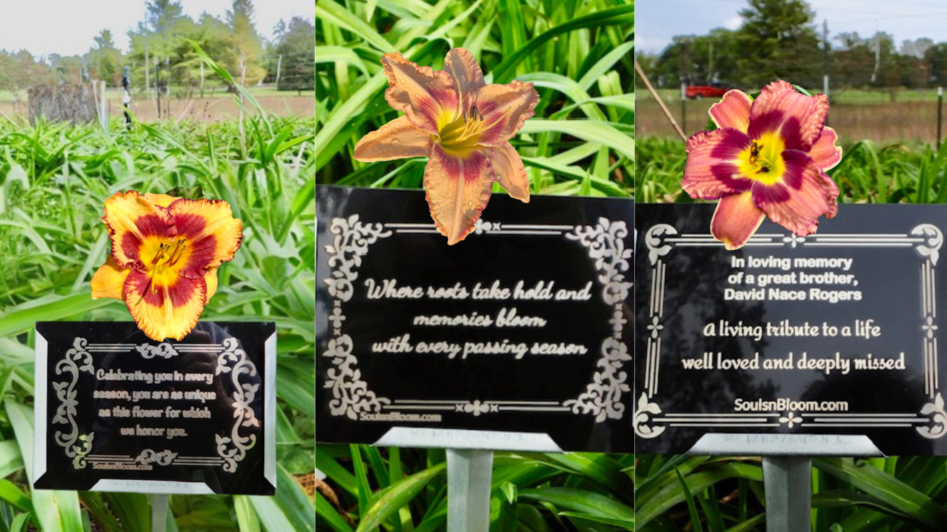 A collection of Souls ’n Bloom  beautiful daylilies and personalized plaques representing life’s most meaningful moments — from memorials and anniversaries to celebrations, milestones, birthdays, and tributes to beloved pets. Each image embodies love, remembrance, and the beauty of honoring life’s journey through nature’s bloom.
