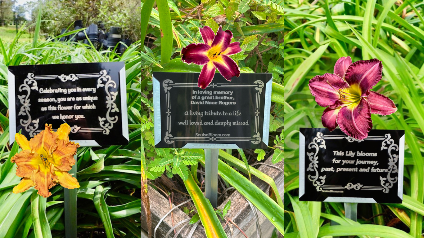 A collection of Souls ’n Bloom  beautiful daylilies and personalized plaques representing life’s most meaningful moments — from memorials and anniversaries to celebrations, milestones, birthdays, and tributes to beloved pets. Each image embodies love, remembrance, and the beauty of honoring life’s journey through nature’s bloom.
