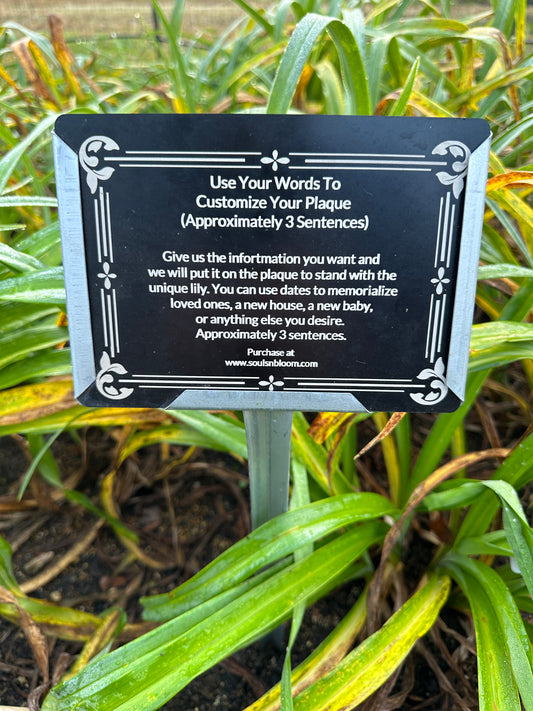 A black plaque with white text standing in a garden next to green lily plants. The plaque has a decorative border and is labelled 'APPROXIMATE SENTENCES' with a website address at the bottom.