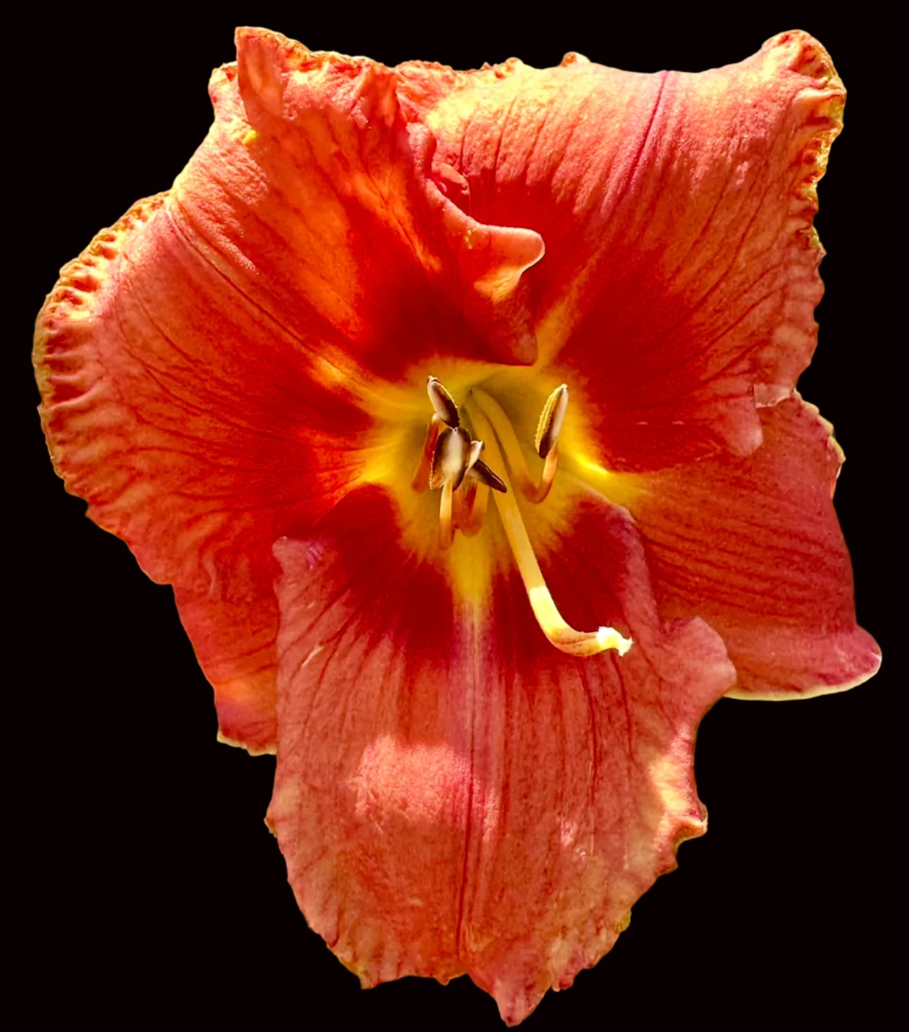 N85 | Fiery Scarlet with Golden Heart