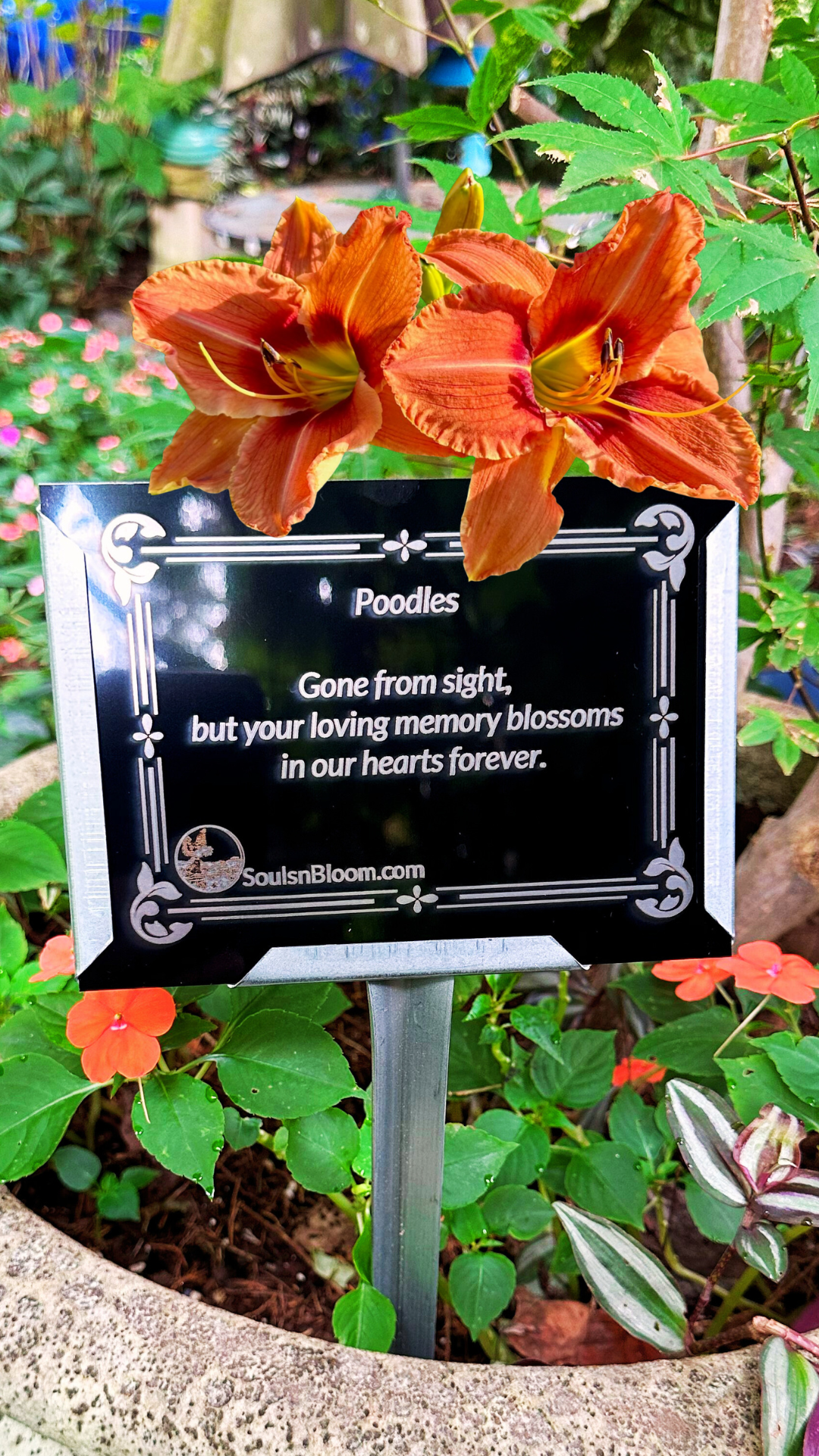 XL peachy-orange hybrid daylily from Souls ’n Bloom with a heartfelt memorial plaque honoring a beloved dog, symbolizing everlasting love and the promise to be forever remembered.