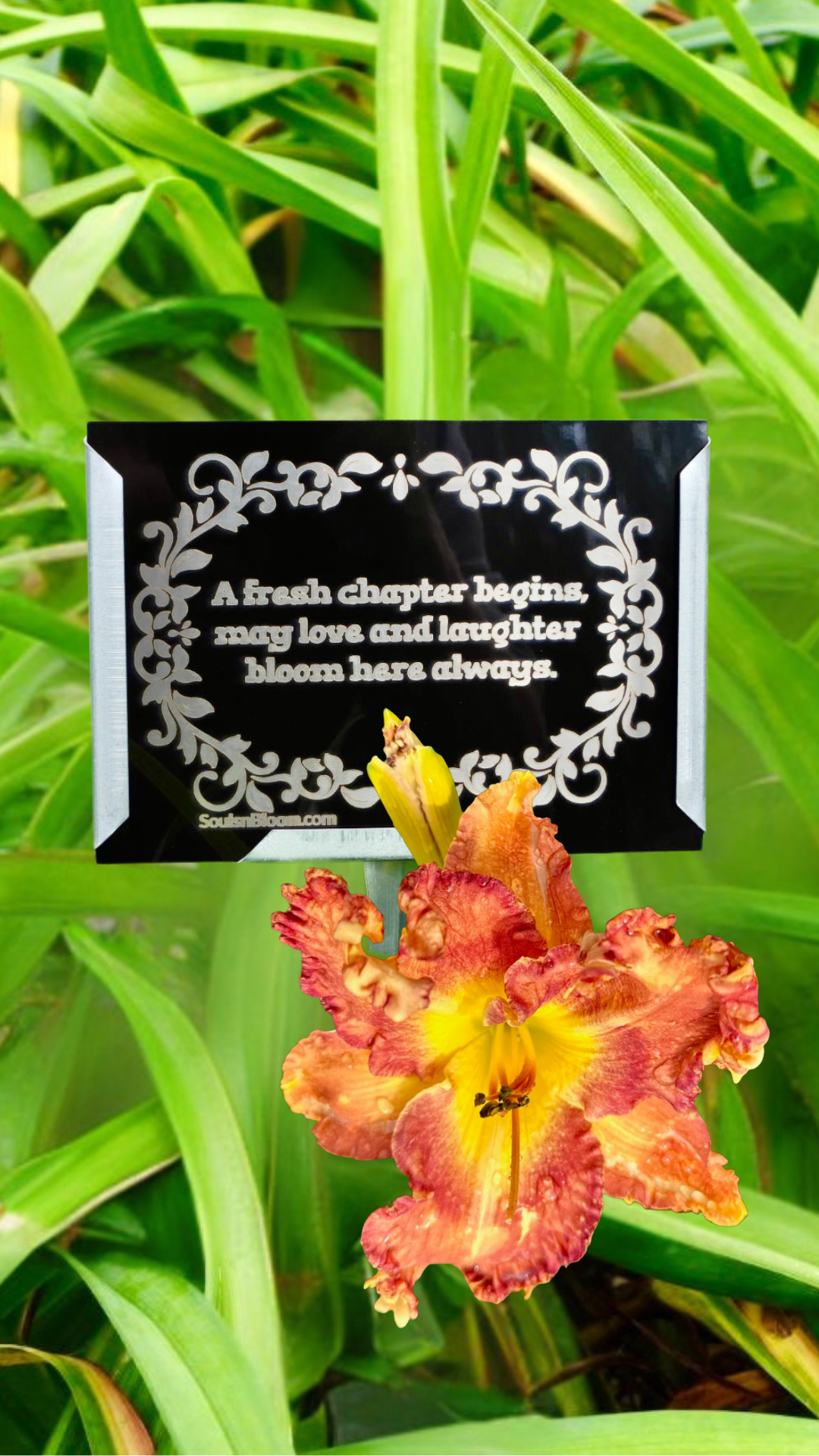 XL flamboyant peach-yellow hybrid daylily from Souls ’n Bloom with a plaque celebrating a new home, symbolizing love, laughter, and the joyful warmth that fills every new beginning.